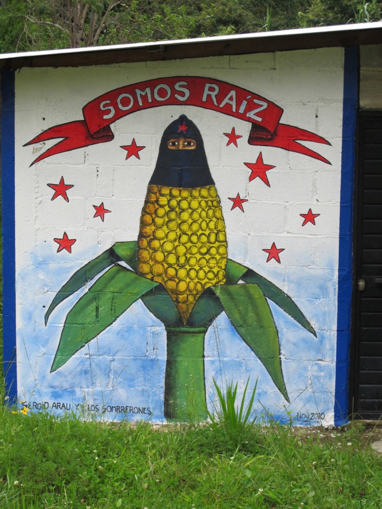 "SOMOS RAÍZ," Oventic, 2012. Photograph by Diana Taylor
